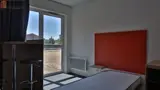 Miniature 3