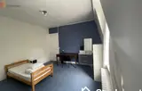 Miniature 10