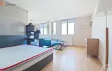 Miniature 9