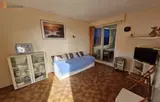 Miniature 9