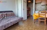 Miniature 8