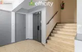 Miniature 5