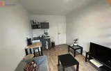 Miniature 4