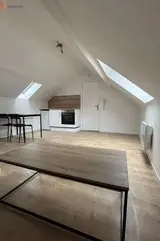 Miniature 4