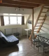 Miniature 1