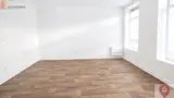 Miniature 6