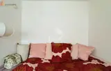 Miniature 5
