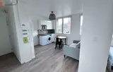 Miniature 4