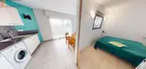 Miniature 3