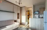 Miniature 7