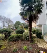 Miniature 4