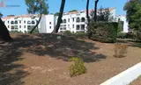 Miniature 16