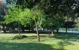 Miniature 5