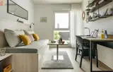 Miniature 9