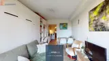 Miniature 4