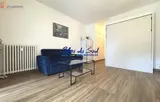 Miniature 7