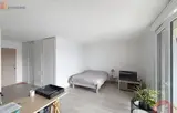 Miniature 3