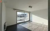 Miniature 6