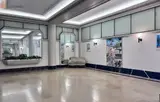 Miniature 4