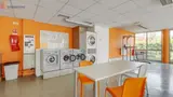 Miniature 3