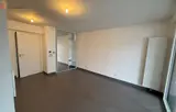 Miniature 8