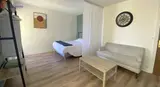 Miniature 4