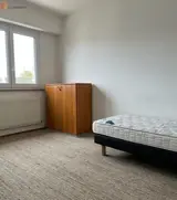 Miniature 0