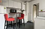 Miniature 4