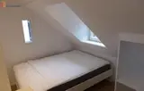 Miniature 5