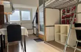 Miniature 5