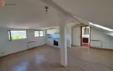 Miniature 8