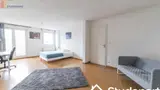 Miniature 0