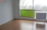 Miniature 0