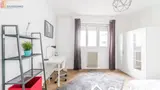 Miniature 4