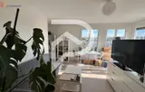 Miniature 9