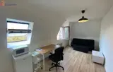 Miniature 0