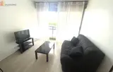 Miniature 5