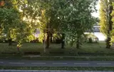 Miniature 0