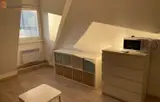 Miniature 0