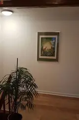 Miniature 7