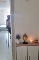 Miniature 1