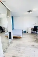 Miniature 9