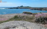Miniature 3