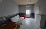 Miniature 4