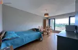 Miniature 8