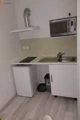 Miniature 3