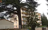 Miniature 0