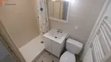 Miniature 0