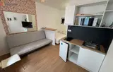 Miniature 0