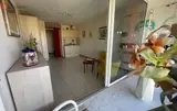 Miniature 5